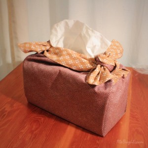 Sample-tissue box cover